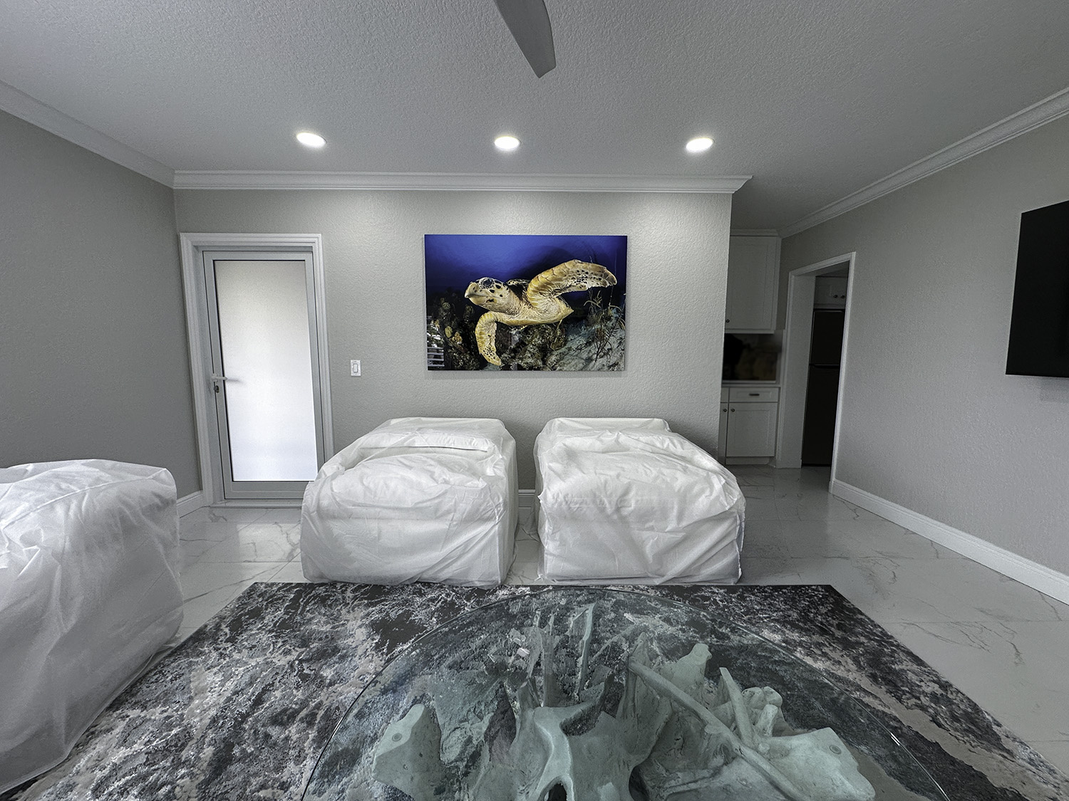 fine art underwater photograph of a hawksbill sea turtle, displayed in a living room